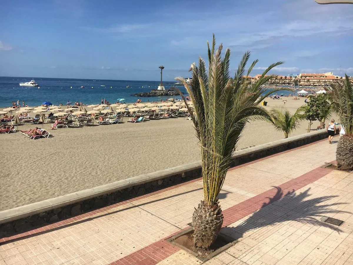 Amazing View In Los Cristianos Apartment Los Cristianos  0*, Los Cristianos (Tenerife) Spain